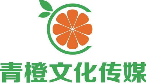 河南青橙文化傳媒 文化傳播的璀璨新星