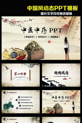 中國傳統文化中醫中藥傳播動態PPT模板 文化傳播的載體與創新
